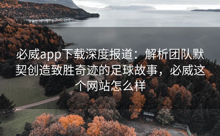 必威app下载深度报道：解析团队默契创造致胜奇迹的足球故事，必威这个网站怎么样  第2张