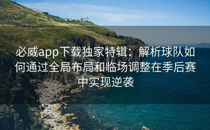 必威app下载独家特辑：解析球队如何通过全局布局和临场调整在季后赛中实现逆袭