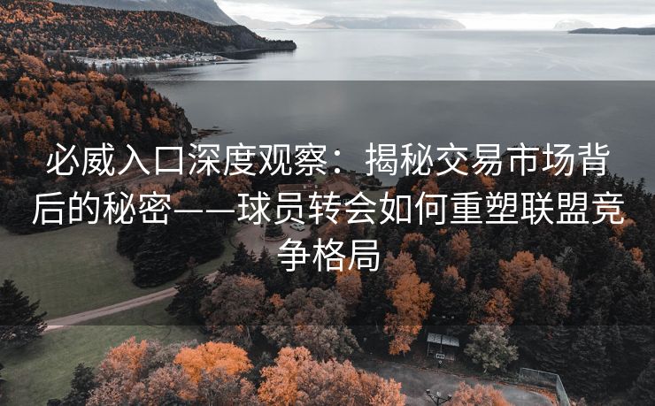 必威入口深度观察：揭秘交易市场背后的秘密——球员转会如何重塑联盟竞争格局  第2张
