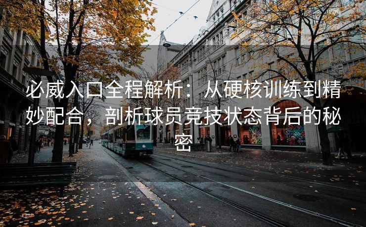 必威入口全程解析：从硬核训练到精妙配合，剖析球员竞技状态背后的秘密
