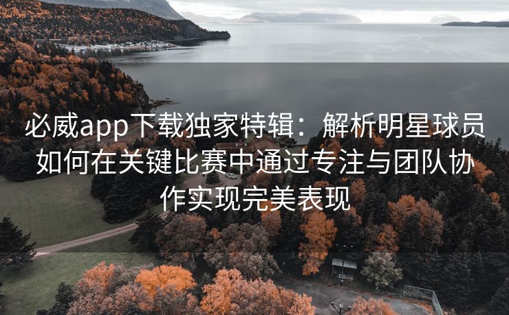 必威app下载独家特辑：解析明星球员如何在关键比赛中通过专注与团队协作实现完美表现  第2张