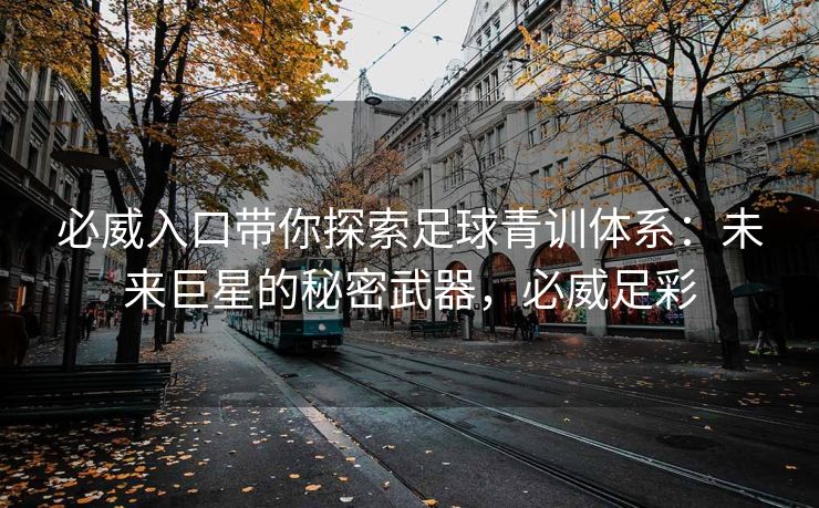 必威入口带你探索足球青训体系：未来巨星的秘密武器，必威足彩  第2张