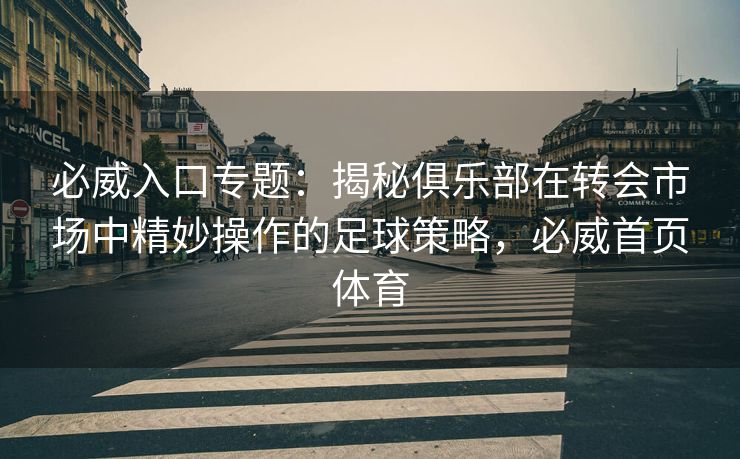 必威入口专题：揭秘俱乐部在转会市场中精妙操作的足球策略，必威首页体育  第2张