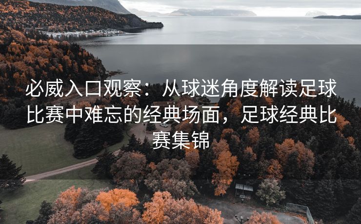 必威入口观察：从球迷角度解读足球比赛中难忘的经典场面，足球经典比赛集锦